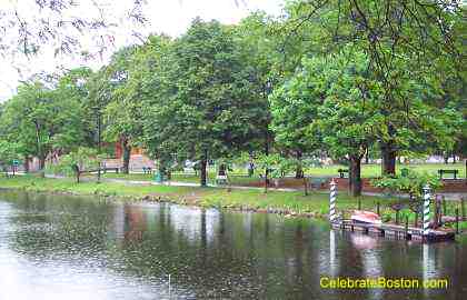 The Lawn From The Island