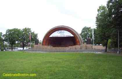 Hatch Shell Front
