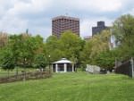 Boston Common Thumb